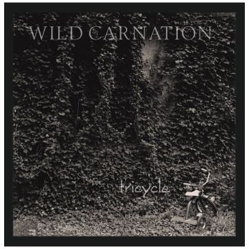 WILD CARNATION - TRICYCLE (CARNATION WHITE VINYL)