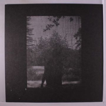 GROUPER - RUINS