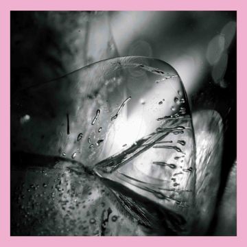 LOSCIL - CLARA