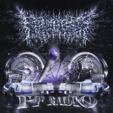 PEELINGFLESH - PF RADIO