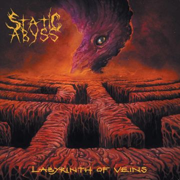 STATIC ABYSS - LABYRINTH OF VEINS