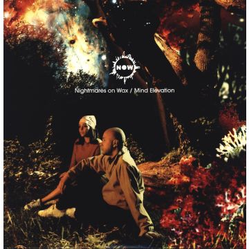 NIGHTMARES ON WAX - MIND ELEVATION