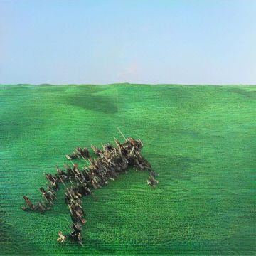 SQUID - BRIGHT GREEN FIELD (DL CARD)
