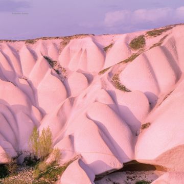 AUTECHRE - AMBER