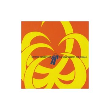 ANTI-POP CONSORTIUM - ENDS AGAINST THE MIDDLE