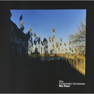 CINEMATIC ORCHESTRA - MA FLEUR