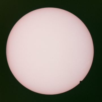 JOHN MAUS - COLLECTION OF RARITIES & PREVIOUSLY UNRELEASED MATERIAL