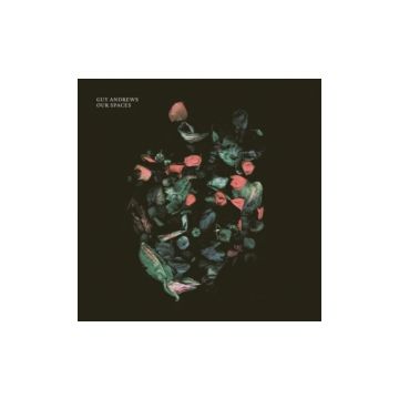 GUY ANDREWS - OUR SPACES