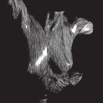 OCEANSIZE - SELF PRESERVED WHILE THE BODIES FLOAT UP