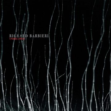 RICHARD BARBIERI - UNDER A SPELL