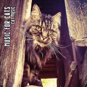 MUSIC FOR CATS - CAT MUSIC