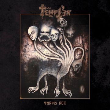 TEMPTER - TURPIS REX