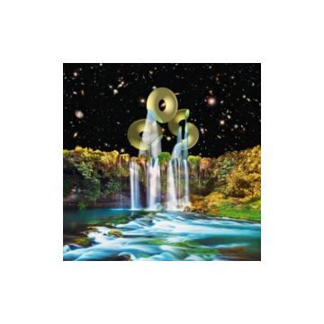 ORCHESTRA OF SPHERES - VIBRATION ANIMAL SEX BRAIN MUSIC