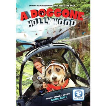 DOGGONE HOLLYWOOD