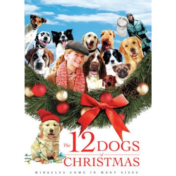 12 DOGS OF CHRISTMAS