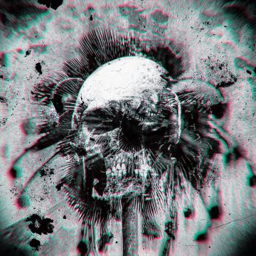 Tropical Gothclub (Dean Fertita) - Wheels Within Wheels / Street Level