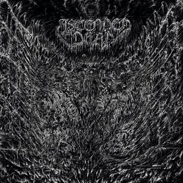 ASCENDED DEAD - EVENFALL OF THE APOCALYPSE