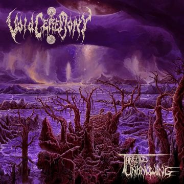 VOIDCEREMONY - THREADS OF UNKNOWING