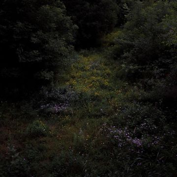 FIREWORKS - HIGHER LONELY POWER (CLOUDY BLACK VINYL)