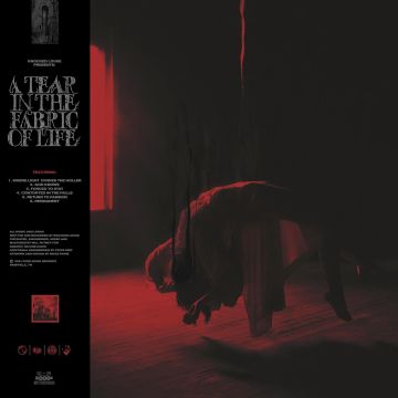 Knocked Loose - A Tear In The Fabric Of Life