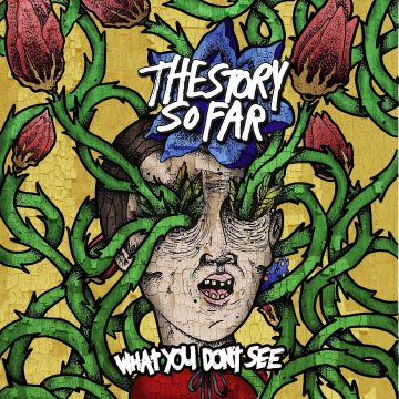 Story So Far, The - What You Don't See