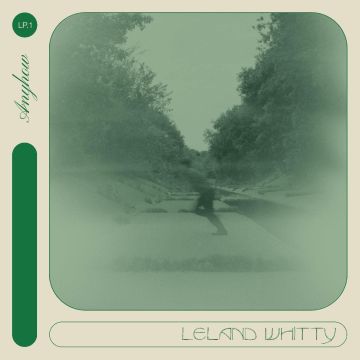 LELAND WHITTY - ANYHOW
