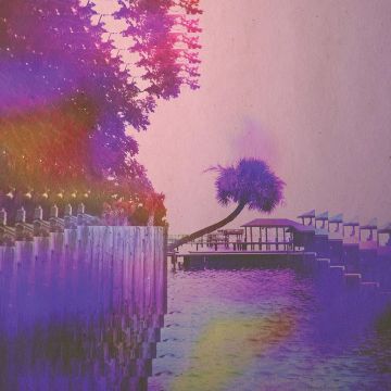 LANNDS - LOTUS DELUXE (PINK VINYL)