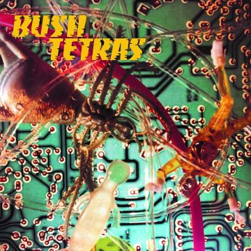 Bush Tetras - There Is A Hum b/w Seven Years
