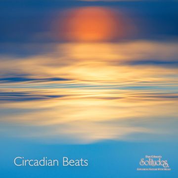 DAN SOLITUDES GIBSON - CIRCADIAN BEATS