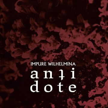 IMPURE WILHELMINA - ANTIDOTE (LTD/45RPM)