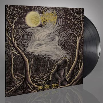 WOODS OF DESOLATION - AS THE STARS