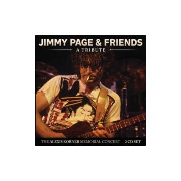 PAGE,JIMMY & FRIENDS - TRIBUTE