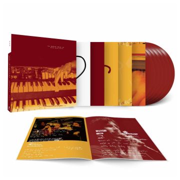 AMERICAN ANALOG SET - DESTROY DESTROY DESTROY (APPLE VINYL)