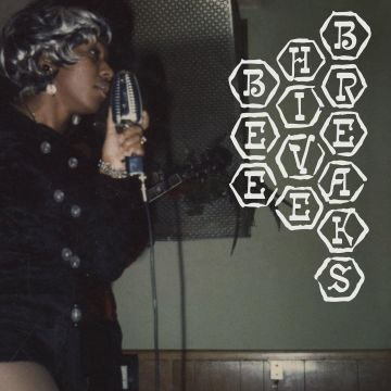 VARIOUS ARTISTS - BEEHIVE BREAKS