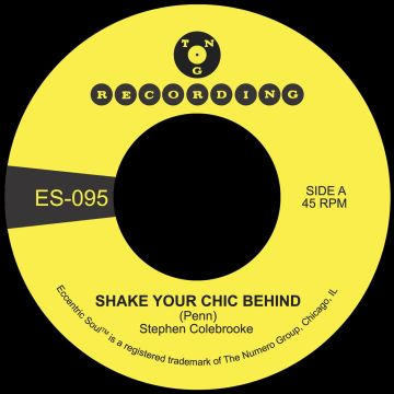 STEPHEN COLEBROOKE - SHAKE YOUR CHIC BEHIND B/W STAY AWAY FROM MUSIC