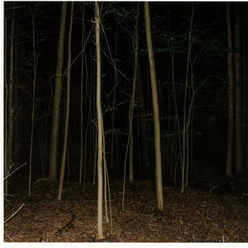 EXPRESS RISING - FIXED ROPE II