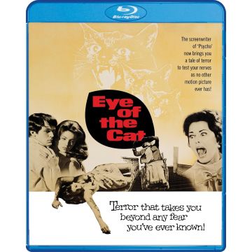 EYE OF THE CAT