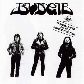 BUDGIE - IF SWALLOWED