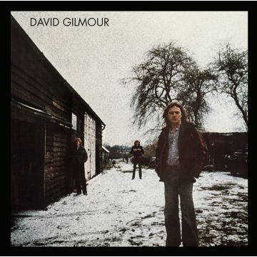 DAVID GILMOUR - DAVID GILMOUR