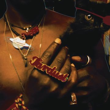 SAUL WILLIAMS - INEVITABLE RISE AND LIBERATION OF NIGGY TARDUS