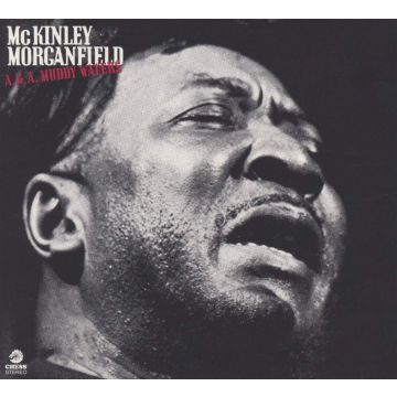MUDDY WATERS - AKA MCKINLEY MORGANFIELD