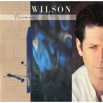 Brian Wilson - Brian Wilson