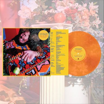 NYSSA - SHAKE ME WHERE I'M FOOLISH