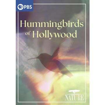 NATURE: HUMMINGBIRDS OF HOLLYWOOD