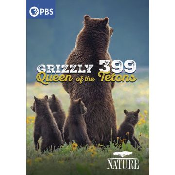 NATURE: GRIZZLY 399 - QUEEN OF THE TETONS