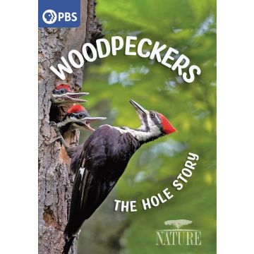NATURE: WOODPECKERS - THE HOLE STORY