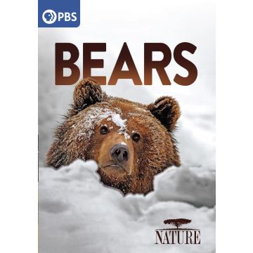 NATURE: BEARS