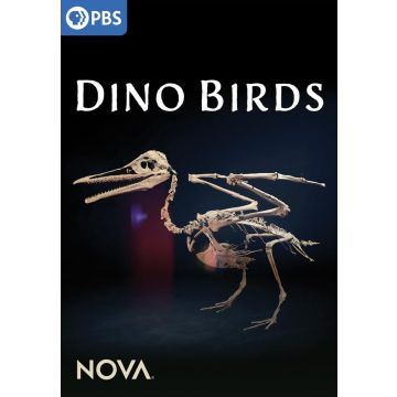 NOVA: DINO BIRDS