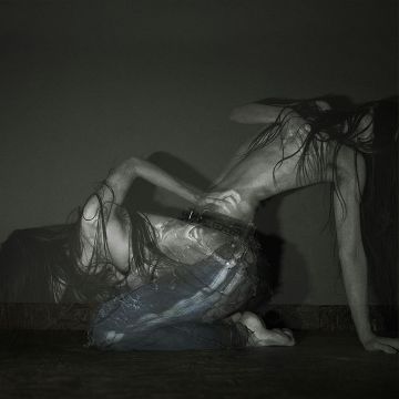 SOFIA ISELLA - SOMETHING IS A SHELL .