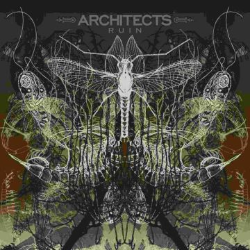 ARCHITECTS - RUIN REISSUE